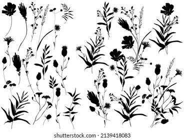 Big set silhouettes botanic floral elements. Branches, leaves, herbs, flowers. Garden, field, meadow wild plants collected in bouquet collection. Vector illustration isolated on white background