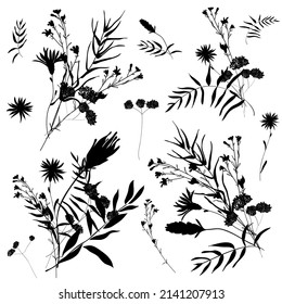 Big set silhouettes botanic floral elements. Branches, leaves, herbs, flowers. Garden, field, meadow wild plants collected in bouquet collection. Vector illustration isolated on white background