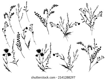 Grandes siluetas de conjunto con elementos florales botánicos. Ramas, hojas, hierbas, flores. Jardín, campo, praderas silvestres recolectadas en la colección de ramos. Ilustración del vector aislada en fondo blanco