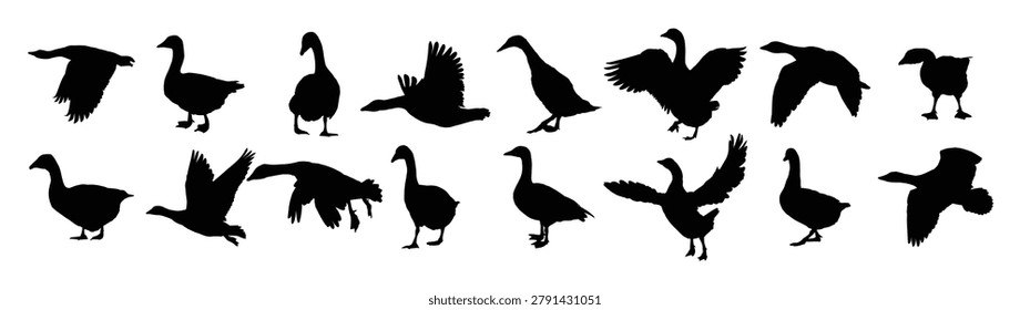 big set silhouettes of geese