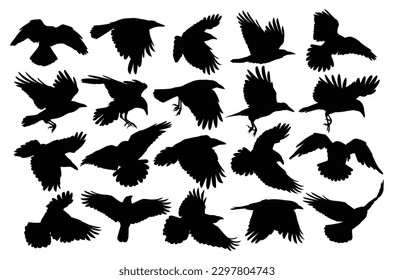 A big set of silhouettes ravens in flight.
