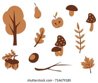 Big set of simple flat vector icons of autumn decorations. Forest elements illustration isolated on white.Floral collection with autumn leaves, mushrooms and fruits.