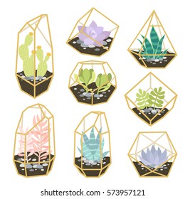 big set of simple geometric terrariums with plants. geometric terrariums with succulents and cactus. can be used like stickers, pins, patches or for posters and greeting cards