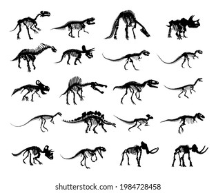 The big set of Skeleton ancient dinosaur.