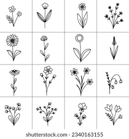 Gran boceto de elementos botánicos florales. Ramas, hojas, flores. Ilustración del vector aislada en fondo blanco