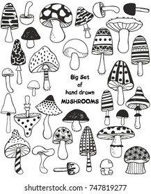 Big set of sketch hand drawn doodle mushrooms. Vector black and white illustration. Polka dot striped caps and stalks. Fresh organic food or drugs isolated on white. Truffle, chanterelle, champignon