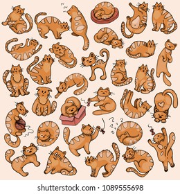 Big set sketches of funny stylized red cats in different poses, colorful, hand drawing sketches, vector illustration