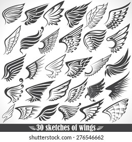 Big Set sketches of wings