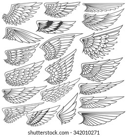 Big Set sketches of wings