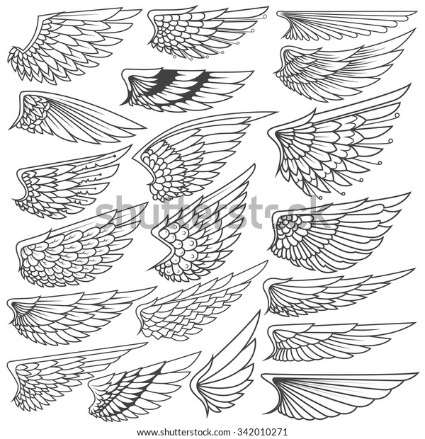 Big Set Sketches Wings Stock Vector (Royalty Free) 342010271 | Shutterstock