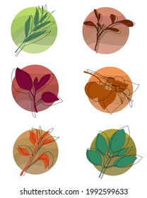 Big set of social media post templates. For personal and business accounts.A set of abstract backgrounds with boho flora elements. Promotion Brand Fashion. Stories. illustrations for highlight	
