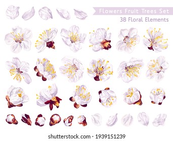 Big set of spring flowers, fruit trees. Realistic vector white flowers of apricot, pear, apple, peach, cherry, cherry for your design pattern, textile, card, advertising banner, post in social network