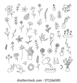 Big set of spring plants and flowers, hand-drawn, black contour on white background 