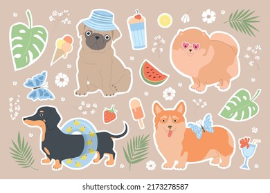 Big set of stickers with dogs. Summer funny vector illustration for kids. Dachshund, pomeranian, pug and corgi on summer vacation. Palm leaves, ice cream, watermelon, cocktails, butterflies, monstera.