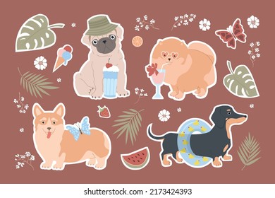 Big set of stickers with dogs. Summer funny vector illustration for kids. Dachshund, pomeranian, pug and corgi on summer vacation. Palm leaves, ice cream, watermelon, cocktails, butterflies, monstera.