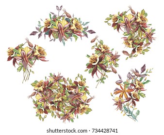 Big Set summer flower frame in a watercolor style isolated. Full name of the plant: Crocosmia, Aquilegia. Aquarelle flower could be used for background, texture, wrapper pattern, frame or border.