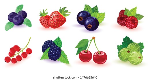 Big set of summer ripe berries picking in garden or forest. Blueberry, blackberry, gooseberry, red and black currant, raspberry, strawberry, cherry with leaves. Cartoon icons isolated on white.