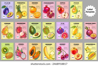 Gran conjunto de Plantillas con frutas locales y exóticas para su producto. Etiquetas de frutas de colores, afiches, cubiertas, etiquetas de Precio, envases y más. Estilo de dibujos animados. Ilustración vectorial.