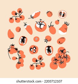 Big set of tomato on beige background. Different types of tomatoes cut in half and whole. Diet healthy vegetarian food. Vector monochrome flat style illustration for menu, poster, postcard