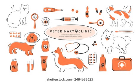 Big set of tools for veterinary hospital. Veterinarian clinic. Animal vaccination, medicines, medical examination, health control, treatment. Vector illustration