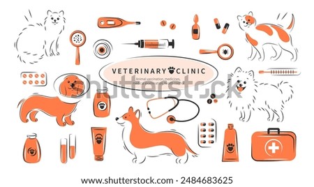 Big set of tools for veterinary hospital. Veterinarian clinic. Animal vaccination, medicines, medical examination, health control, treatment. Vector illustration