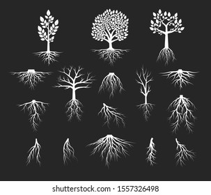 Big set of tree with roots silhouettes. Vector isolated Illustration with leaves and branches.