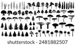 Big set of tree silhouettes. Trees of different natural zones, vector illustration.