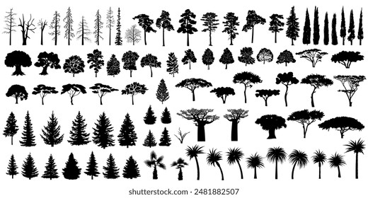 Big set of tree silhouettes. Trees of different natural zones, vector illustration.