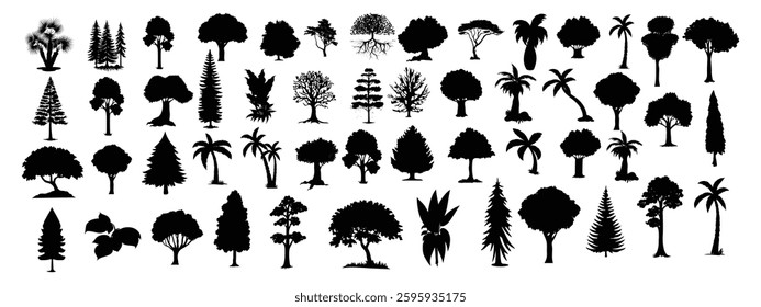 Big set of tree silhouettes. Trees of different natural zones, vector illustration.