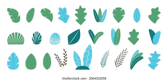 Big set of trees. Plants, trees, tropical leaves collection vector. Branches, bushes, fir signs. Jungle nature elements. 