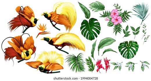 Big set of tropical birds and flowers. Vector isolated paradise birds, hibiscus and palm leaves - Shutterstock ID 1994004728