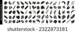 Big set of tropical black leaves. Monstera, fig, palm. Flowers and leaves of the jungle. Vector illustration