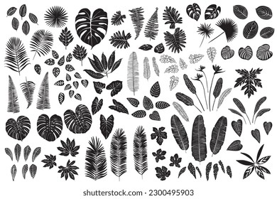 Big set of tropical black leaves. Flowers and leaves of the jungle. Monstera, fig, palm