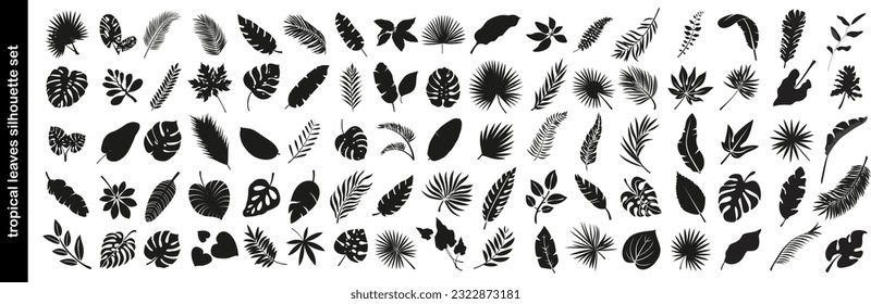Big set of tropical black leaves. Monstera, fig, palm. Flowers and leaves of the jungle. Vector illustration