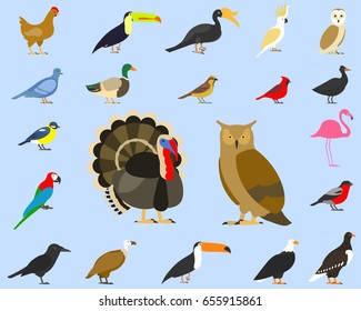 big set of tropical, domestic and other birds, cardinal, flamingo, owls, eagles, bald, sea, parrot, goose. raven. sparrow. chicken. turkey. cockatoo. pigeon. toco toucan. hornbill. griffon. duck.