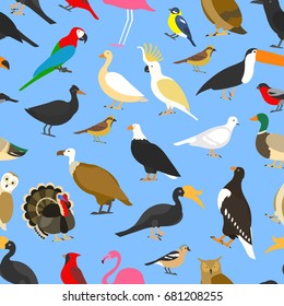 big set of tropical, domestic and other birds, cardinal, flamingo, owls, eagles, bald, sea, parrot, goose. raven. sparrow. chicken. turkey. toco toucan. hornbill. griffon. duck. Seamless pattern.