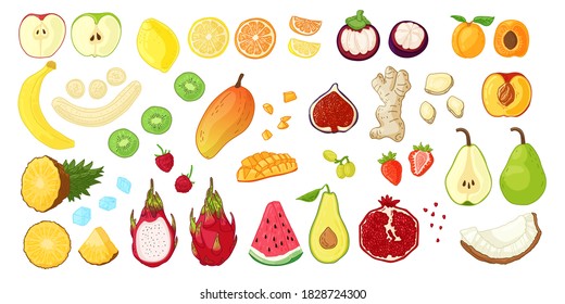 Gran conjunto con frutas tropicales, bayas y raíces. Alimentos frescos y naturales para la nutrición vegetariana. Ilustración para limo fresco o volante de dieta. Vector