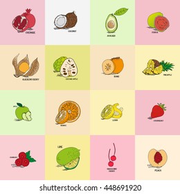 Big set of tropical fruits board illustration for healthy business