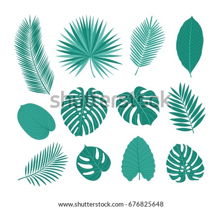 Big set of tropical leaves. Sketch, floral elements for your design. Vector illustration.