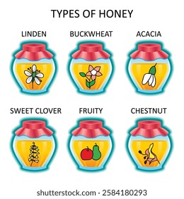 Big set types of honey in cartoon style. Different types of honey. Illustration can be used in infographics