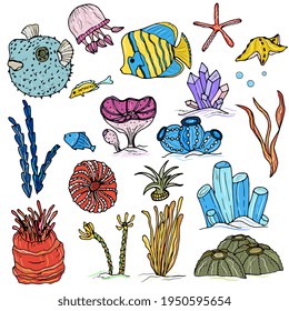 Big set of underwater world, coral reef design elements. Coral, algae, fish, underwater plants, shells, starfish. Hand drawing doodle outline.