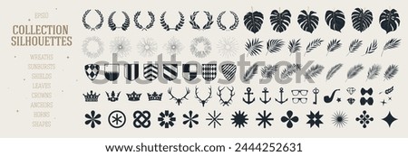 Big set of various design elements, tropical leaves and plants branches, detail wreaths and sunbursts, vector shapes collection assets of isolated details, for colleges and prints