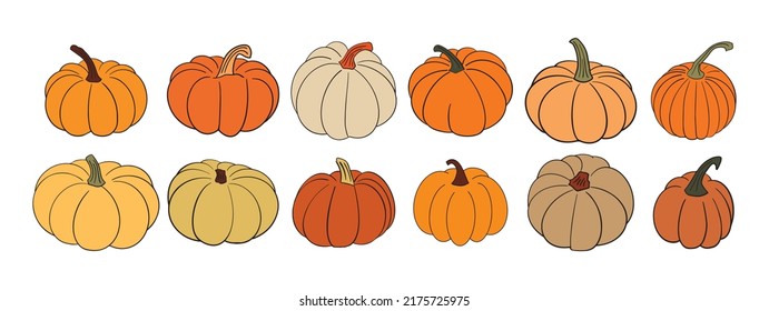 Big set of various hand drawn pumpkin squash in warm natural fall colors isolated on white. Vector illustration - autumn, Halloween, Thanksgiving design elements. Rustic cottagecore collection