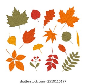 Gran conjunto de varias hojas de otoño dibujadas a mano con el efecto de la pintura de acuarela. Hola, caída. Vector de moda ilustración plana. 