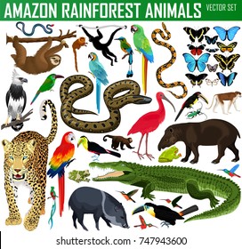 235,533 Rainforest animals Images, Stock Photos & Vectors | Shutterstock