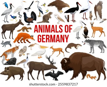 Big set of vector animals of Germany