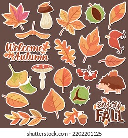 Big set of vector autumn icons, fall stickers: leaves, mushrooms, hedgehog, chestnuts, oak acorn, rose hips, viburnum, rowan, maple seeds, apple. Enjoy fall, Welcome autumn lettering. Large collection