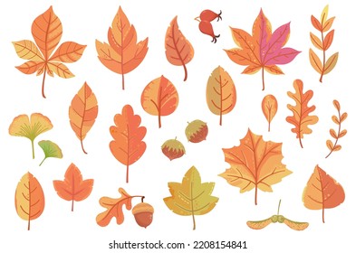 Big set of vector autumn icons, fall stickers: leaves, mushrooms, hedgehog, chestnuts, oak acorn, rose hips, viburnum, rowan, lettering, maple seeds, hazelnut.  