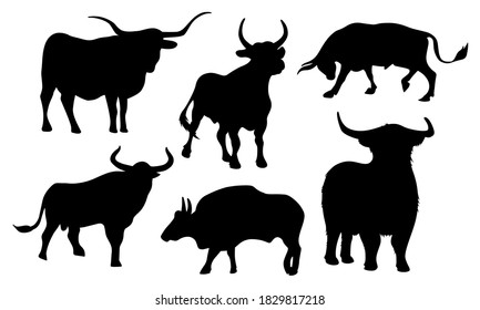 Big set of vector bulls in different poses. Large horned livestock. Silhouettes of wild bulls. The bull is the symbol of 2021.