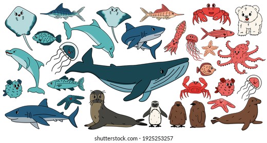 Big set of vector cartoon outline isolated sea ocean north animals. Doodle whale, dolphin, shark, stingray, jellyfish, fish, stars, crab, king Penguin chick, octopus, fur seal, polar bear cub for book